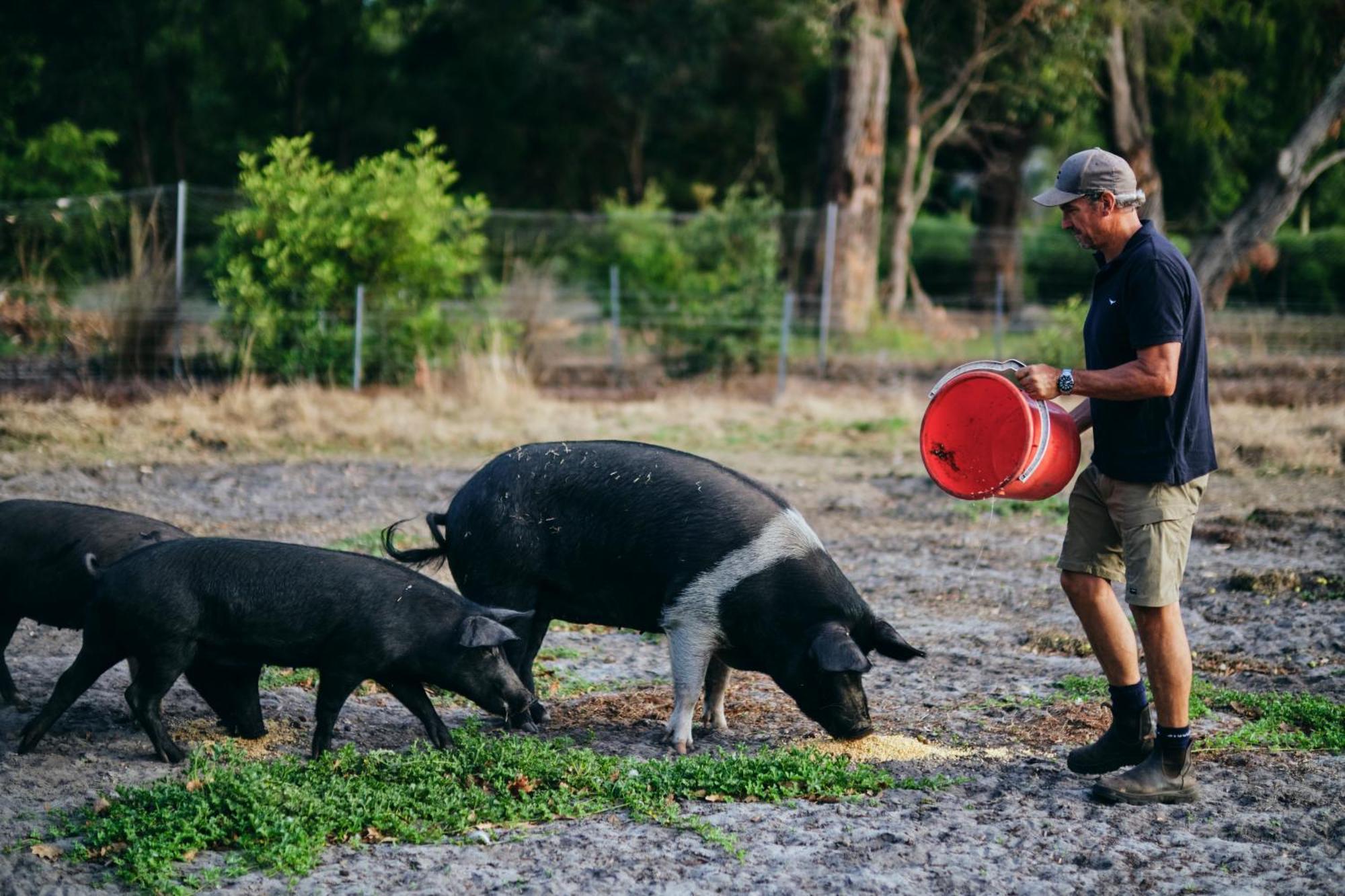 Burnside Organic Farm Villa Margaret River ภายนอก รูปภาพ