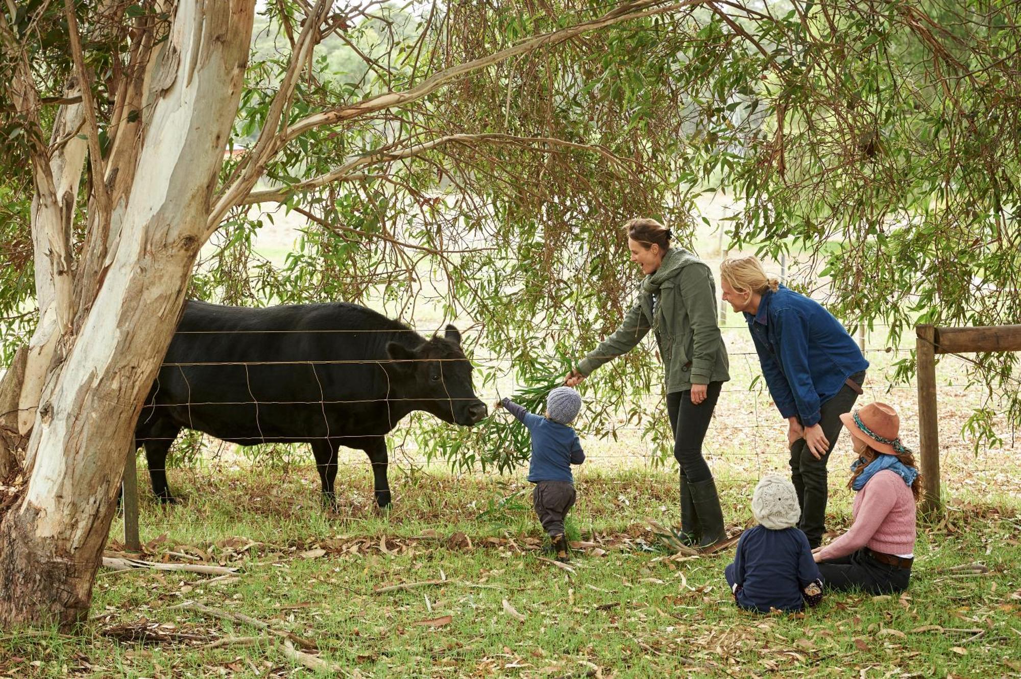 Burnside Organic Farm Villa Margaret River ภายนอก รูปภาพ