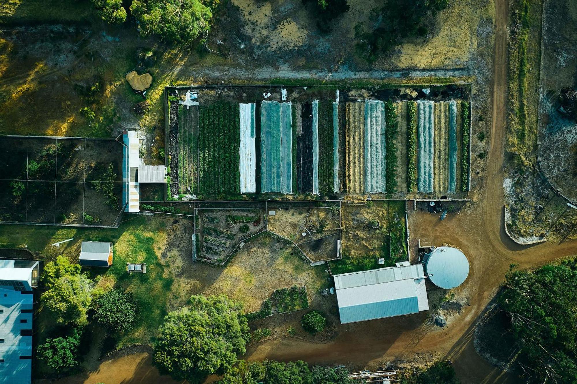 Burnside Organic Farm Villa Margaret River ภายนอก รูปภาพ